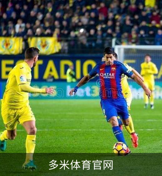多米体育官网品牌故事